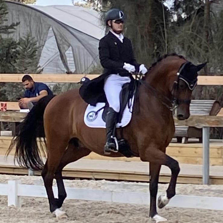 Itay Katzir competing on his bay horse